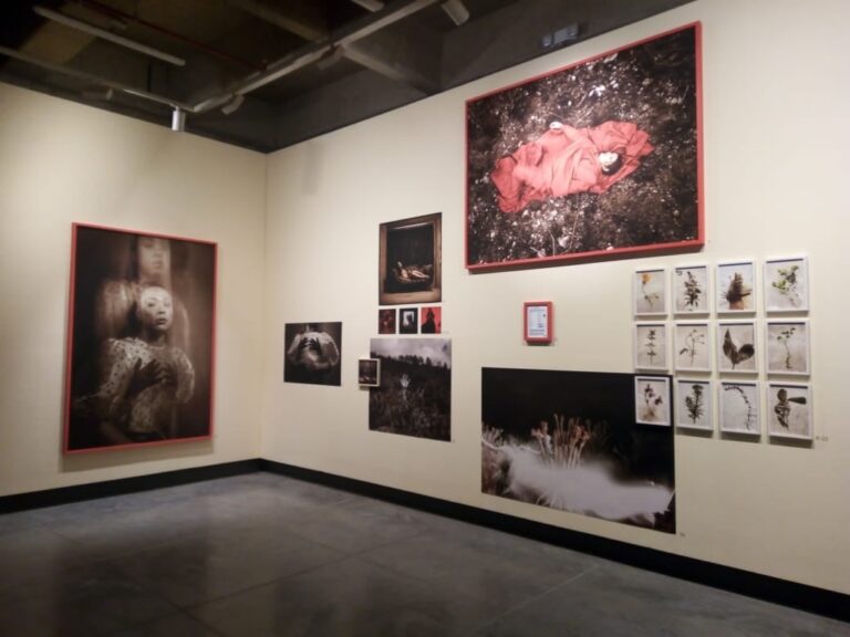 Exposición Fotográfica Limpia