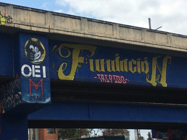 Fundación Tripido Diego Felipe Becerra
