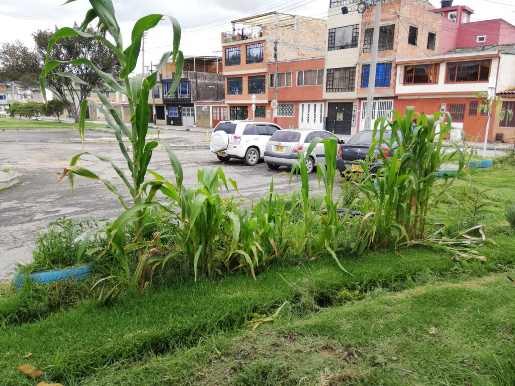Jardines y cultivos para salvaguardar y proteger las especies que viven allí