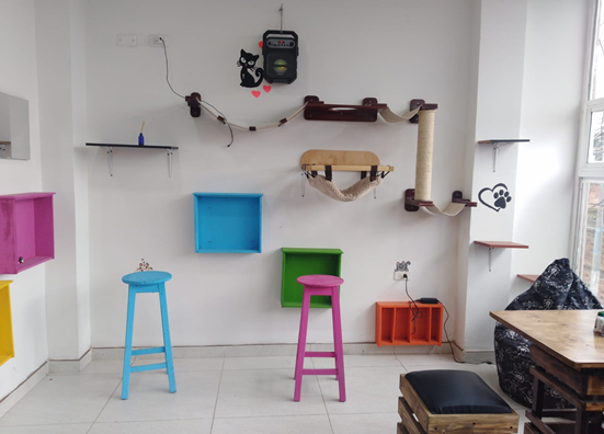 Un lugar que funciona además como casa refugio animal